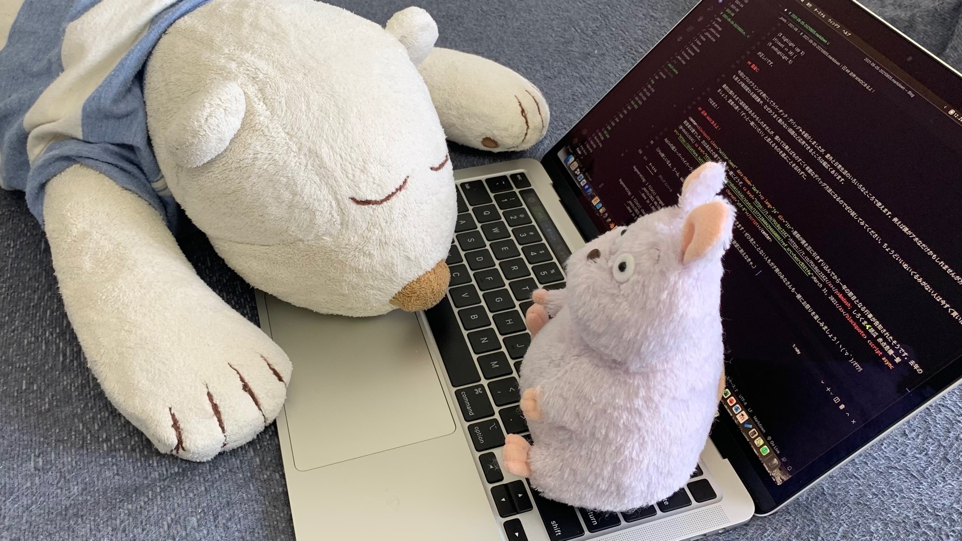 Rubber Duck Debugging